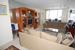 Alcove Studio apt