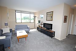 1 Bed., 1 bath apt