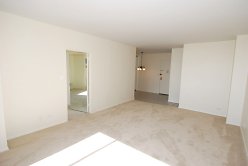 1 Bed., 2 bath apt