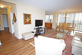 North Shore Towers 1 bedroom, 1.5 bath apt