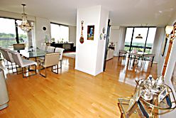 3 bedroom, 2 1/2  bath apt