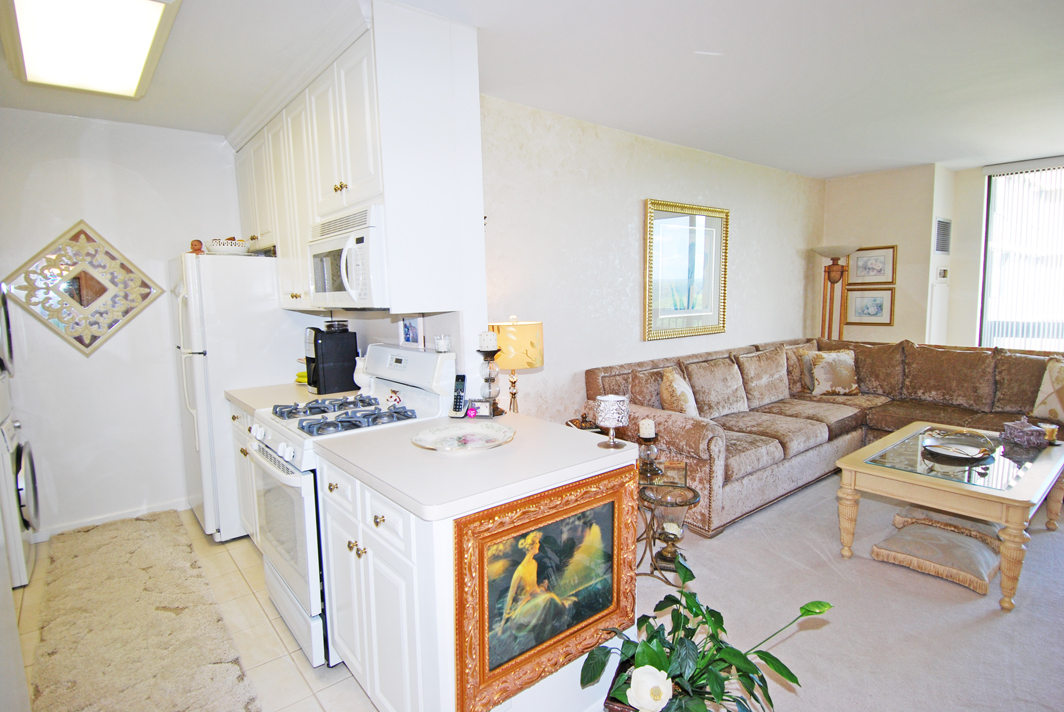 North Shore Towers 1 Bedroom Apartment