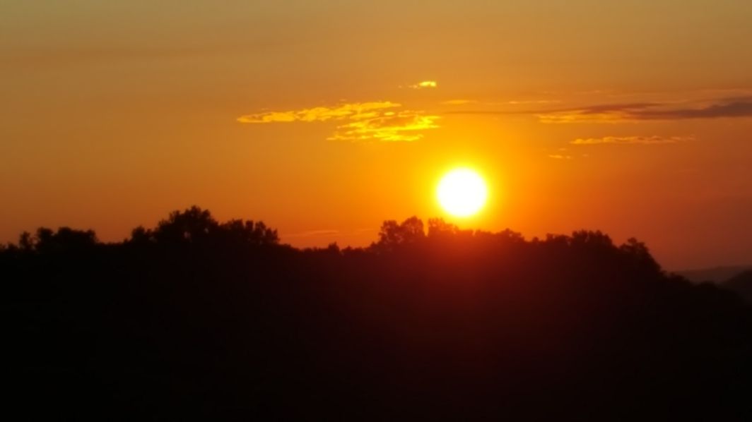 North Shore Towers 1 Bedroom Apartment