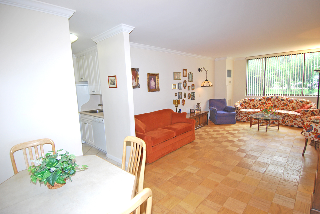 North Shore Towers Apartment