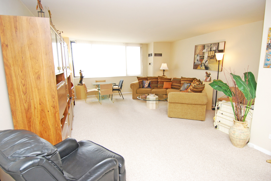 North Shore Towers  apt.