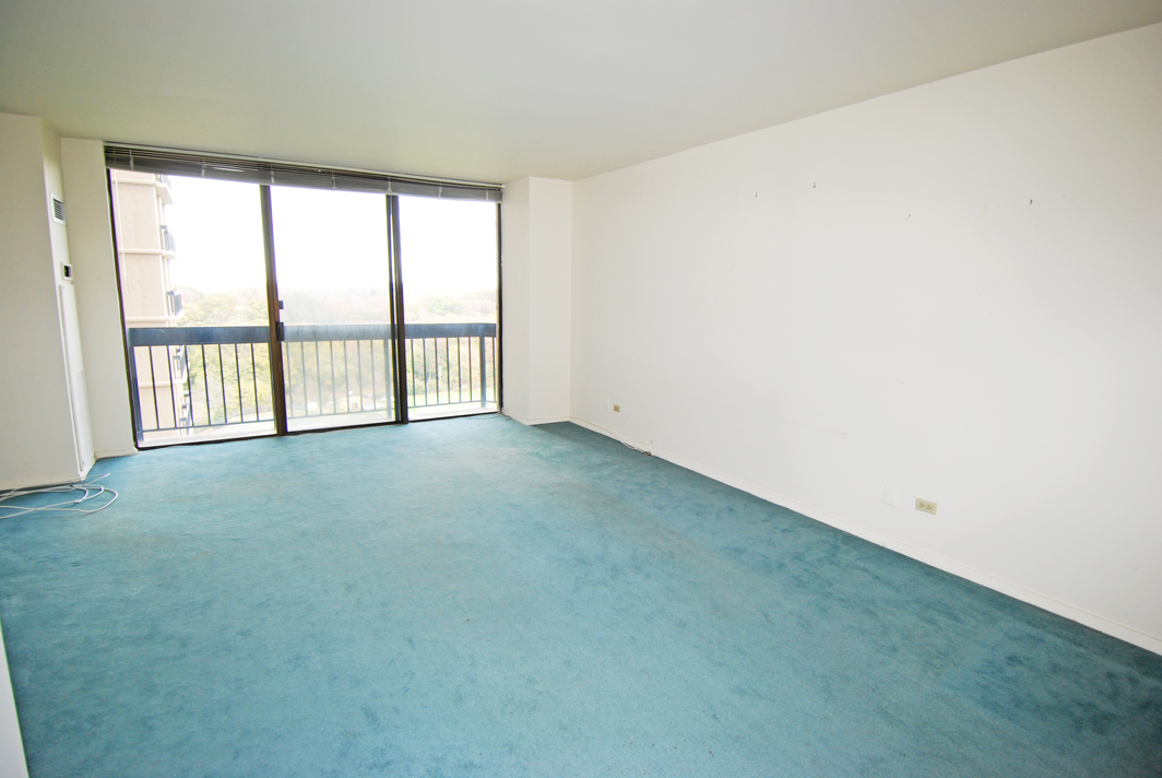 North Shore Towers  apt.