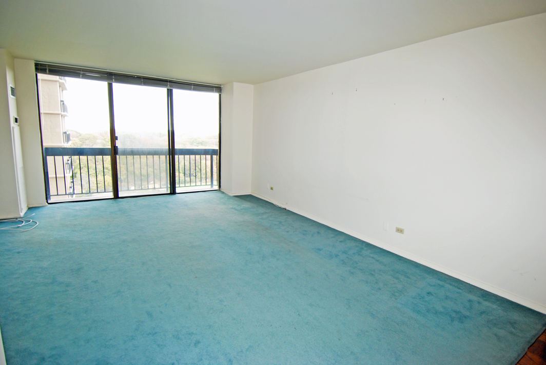 North Shore Towers  apt.