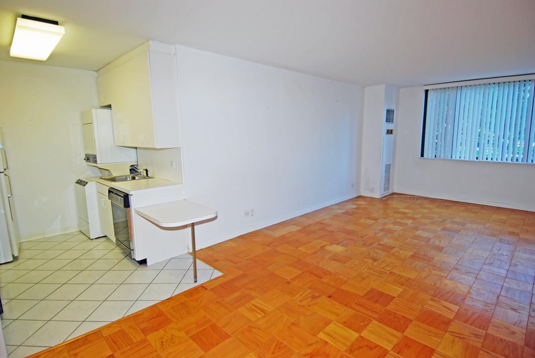 North Shore Towers 1 Bedroom Apartment