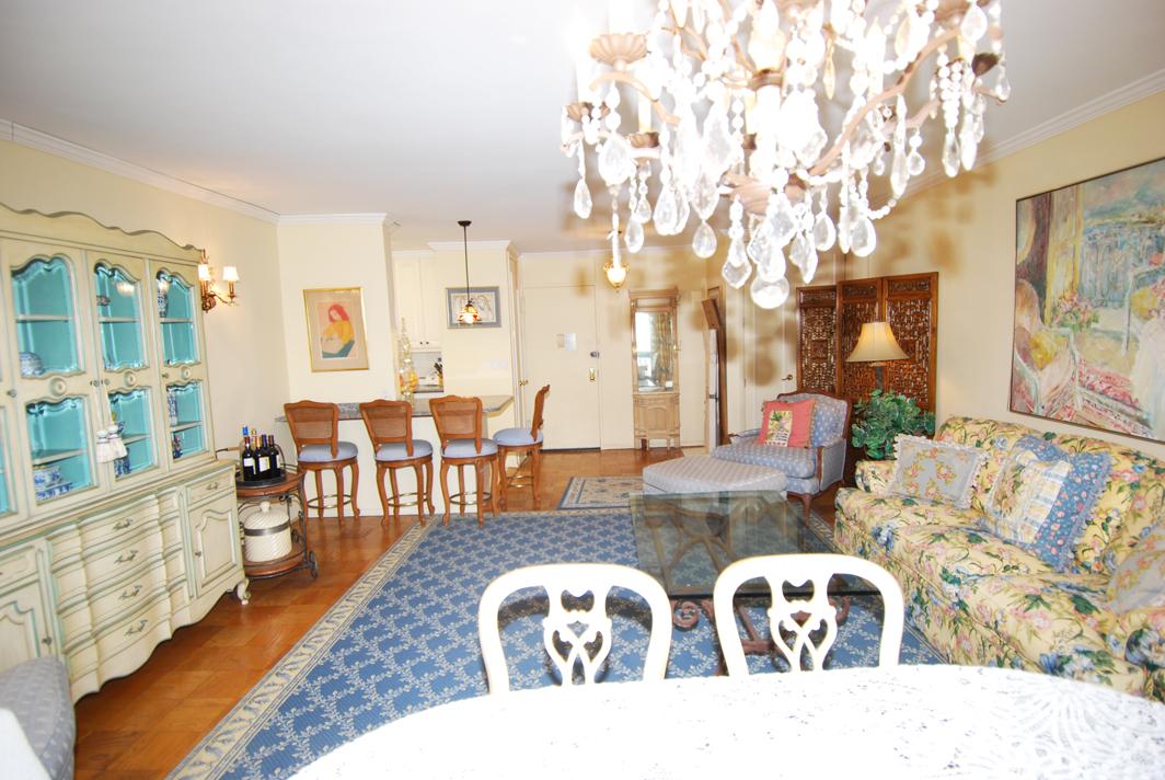 North Shore Towers 1 bedroom apt.