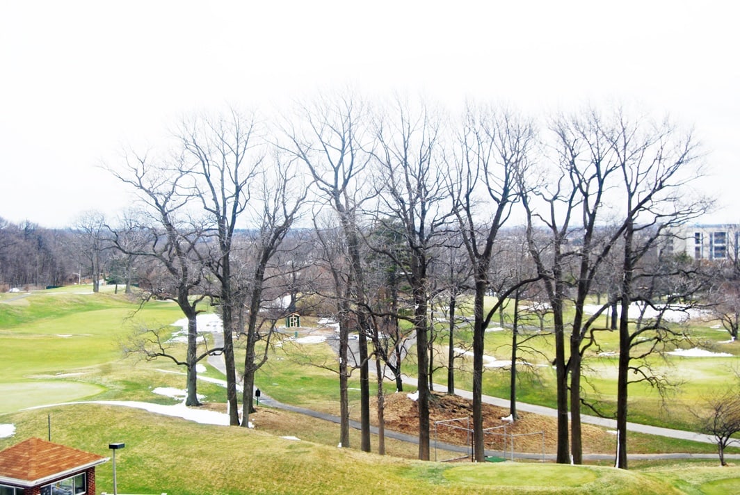 North Shore Towers Apt.