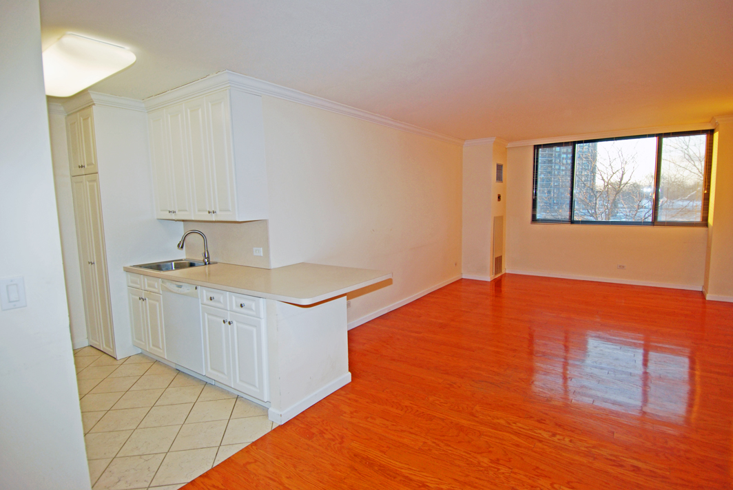 North Shore Towers 1 bedroom   Apartment