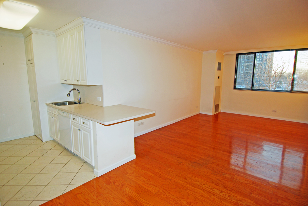 North Shore Towers 1 bedroom   Apartment