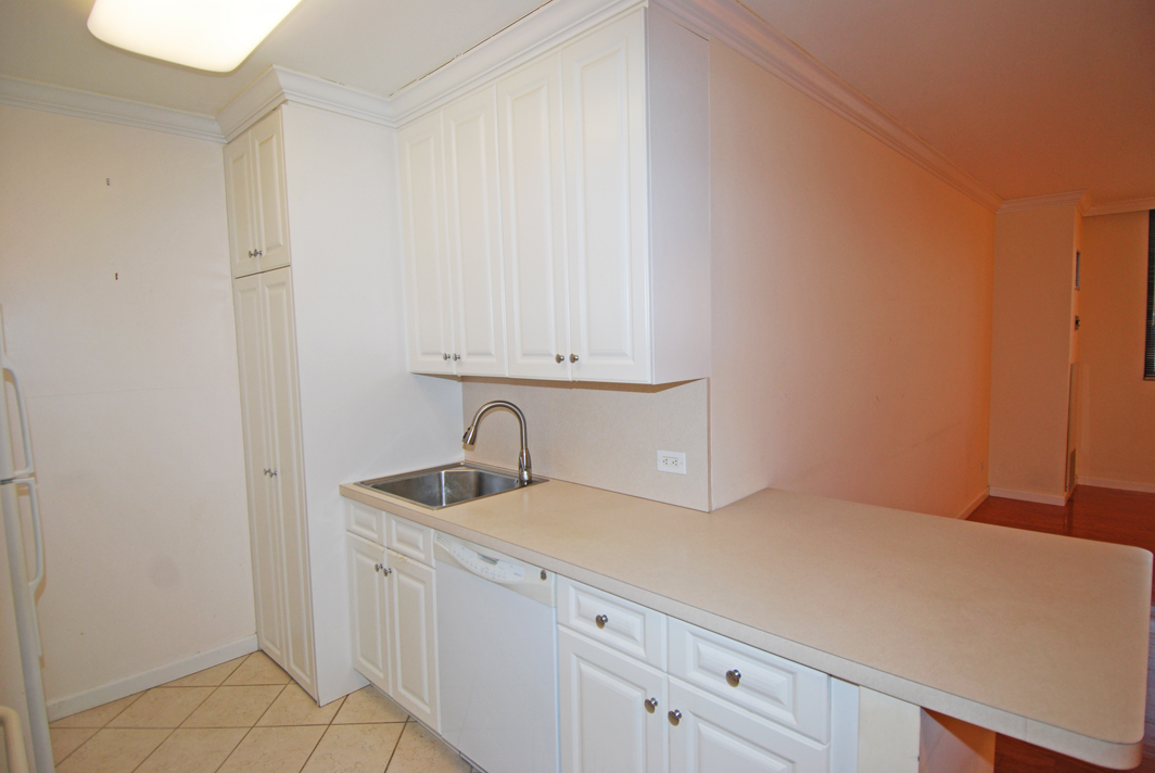 North Shore Towers 1 bedroom   Apartment