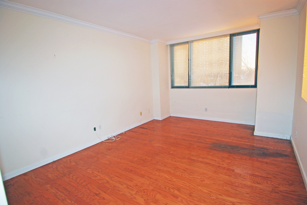 North Shore Towers 1 bedroom   Apartment