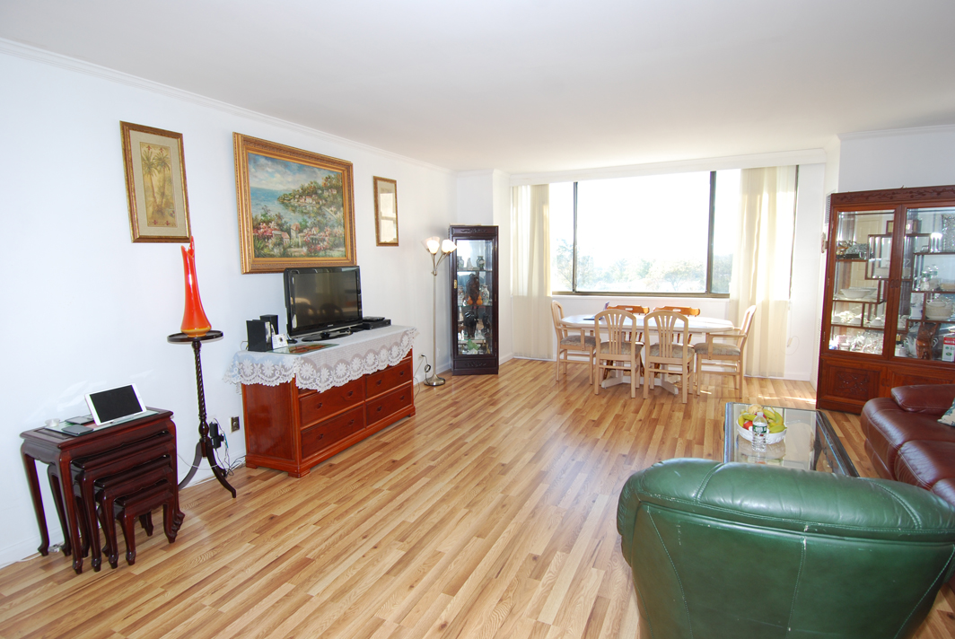 North Shore Towers  apt.