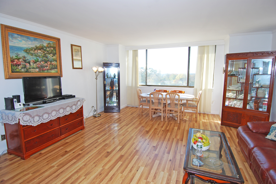 North Shore Towers  apt.