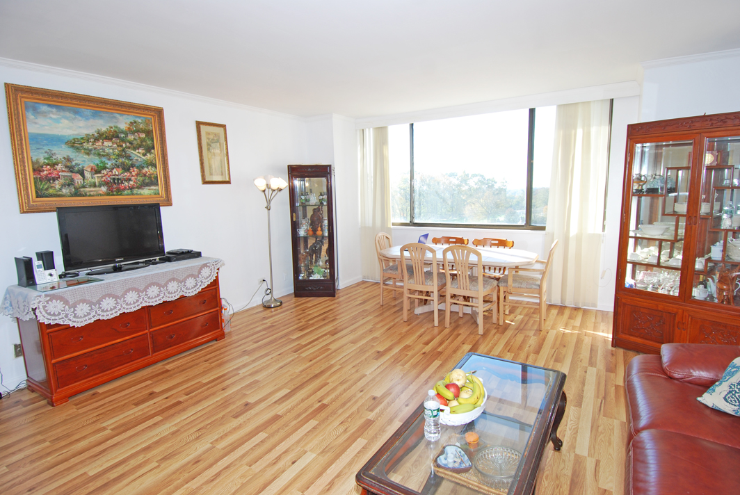 North Shore Towers apt.