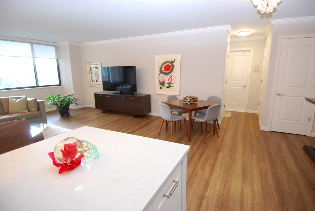 North Shore Towers Apt.