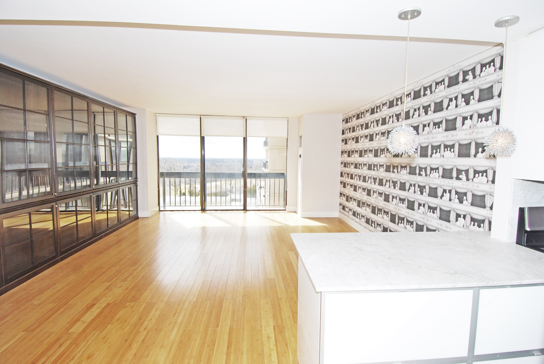 North Shore Towers  apt.