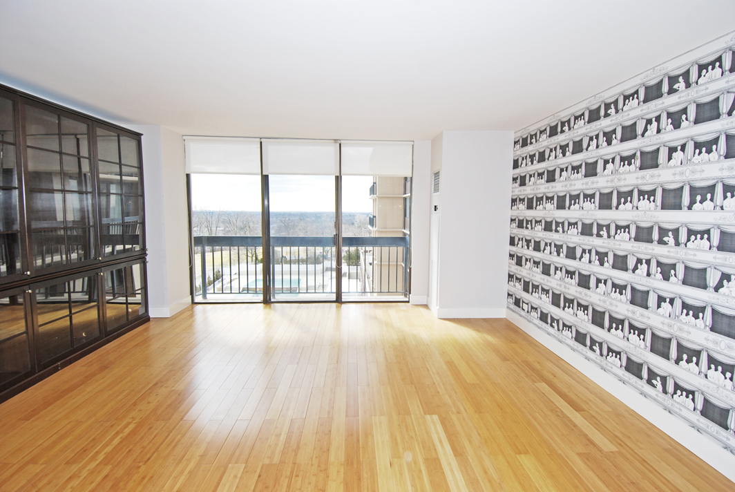 North Shore Towers  apt.