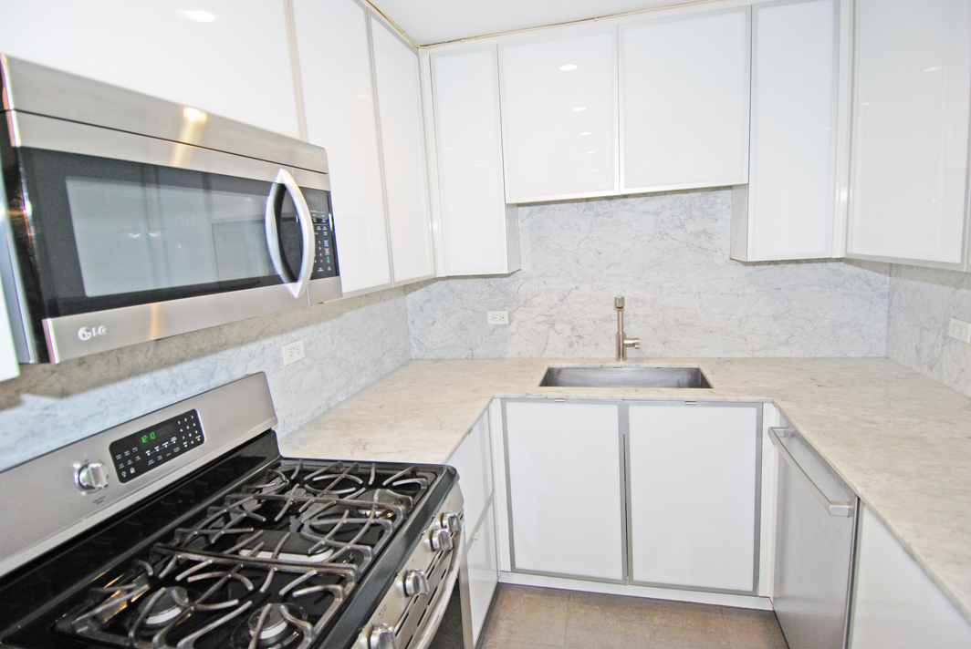 North Shore Towers  apt.