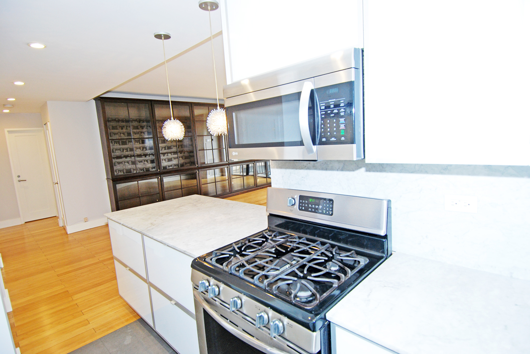 North Shore Towers  apt.