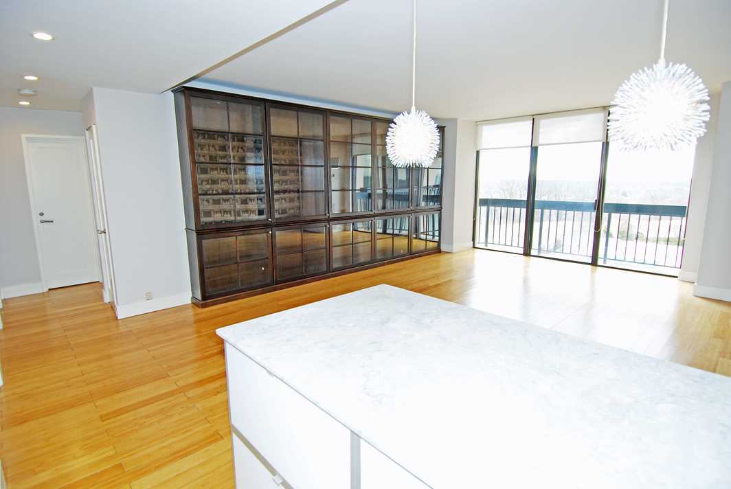 North Shore Towers  apt.