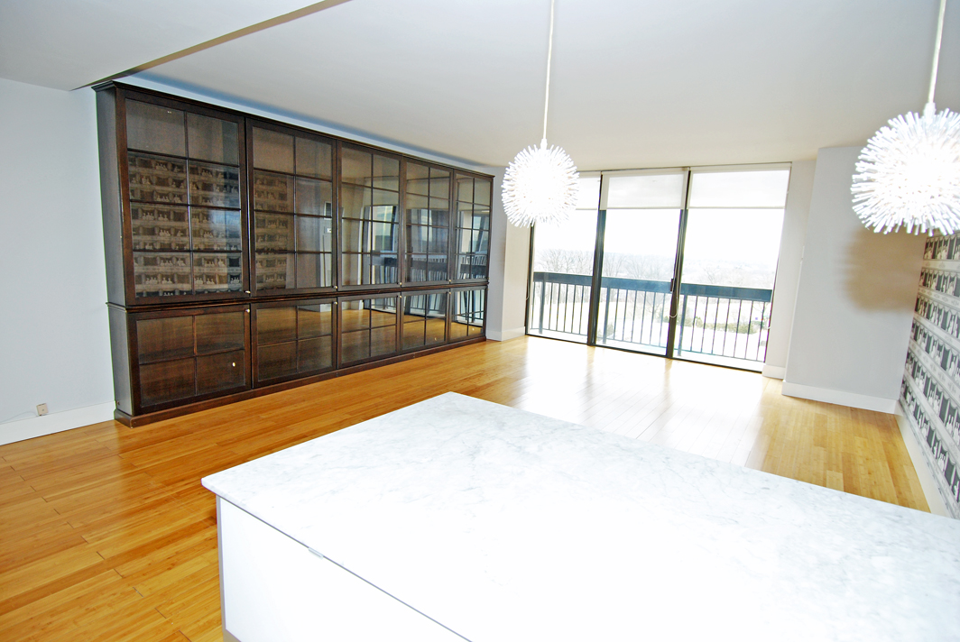 North Shore Towers  apt.