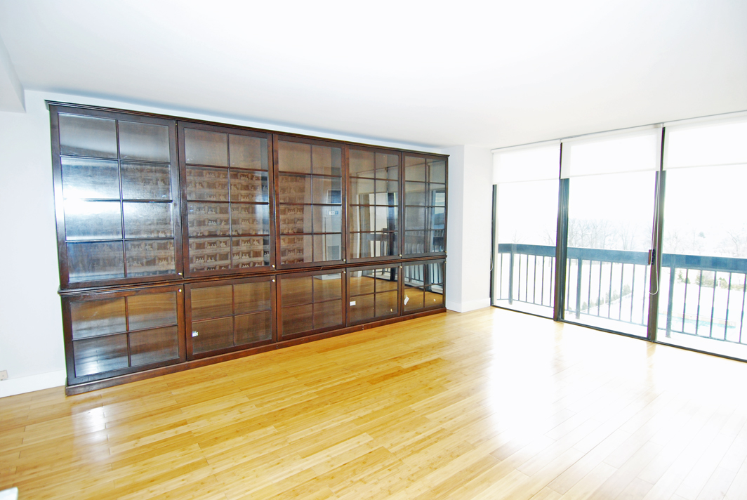 North Shore Towers  apt.