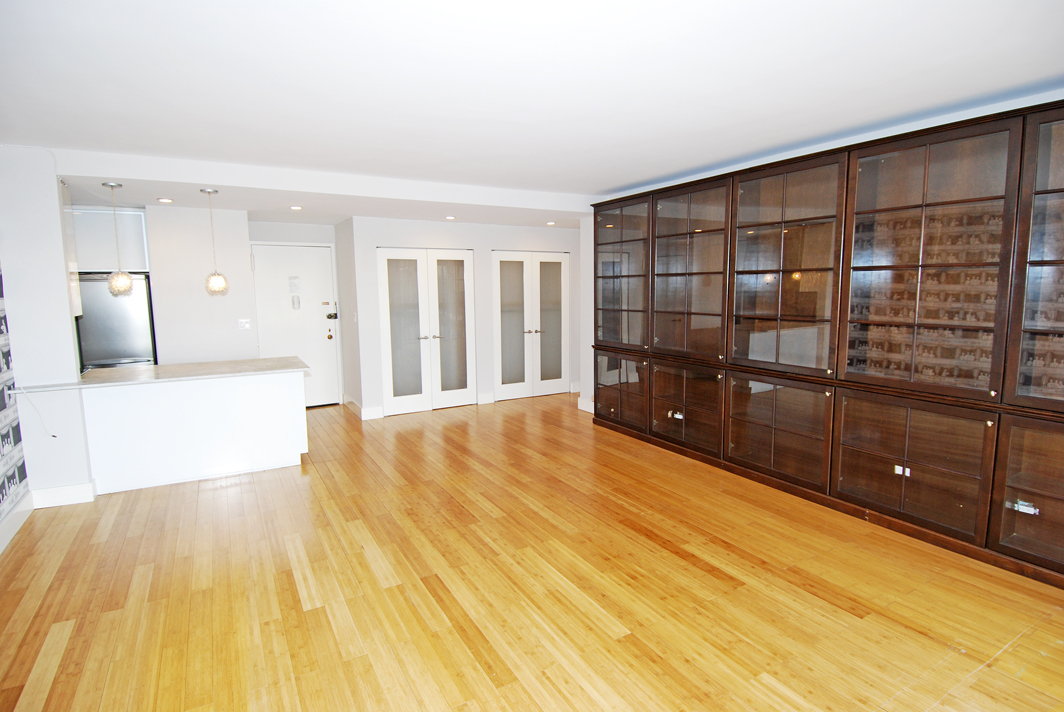 North Shore Towers  apt.