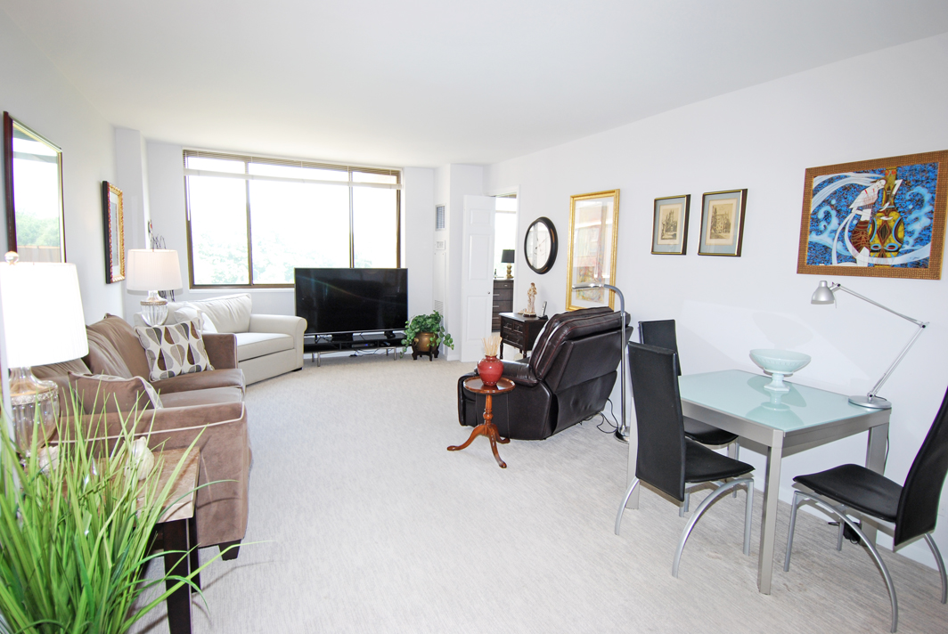 North Shore Towers  apt.