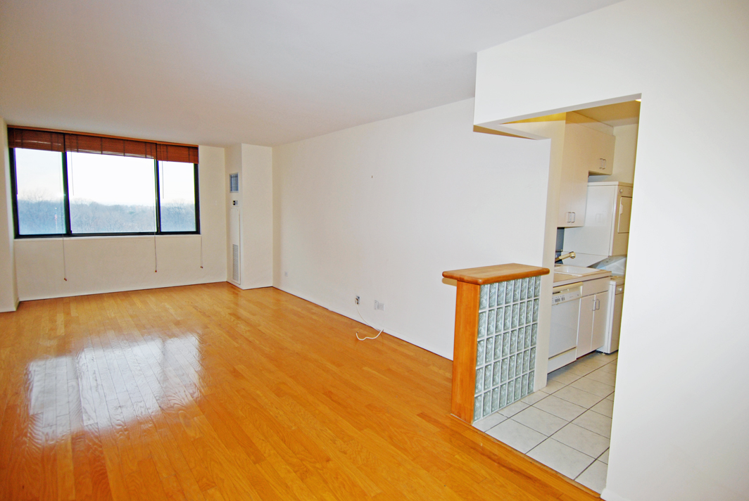 North Shore Towers 1 bedroom   Apartment