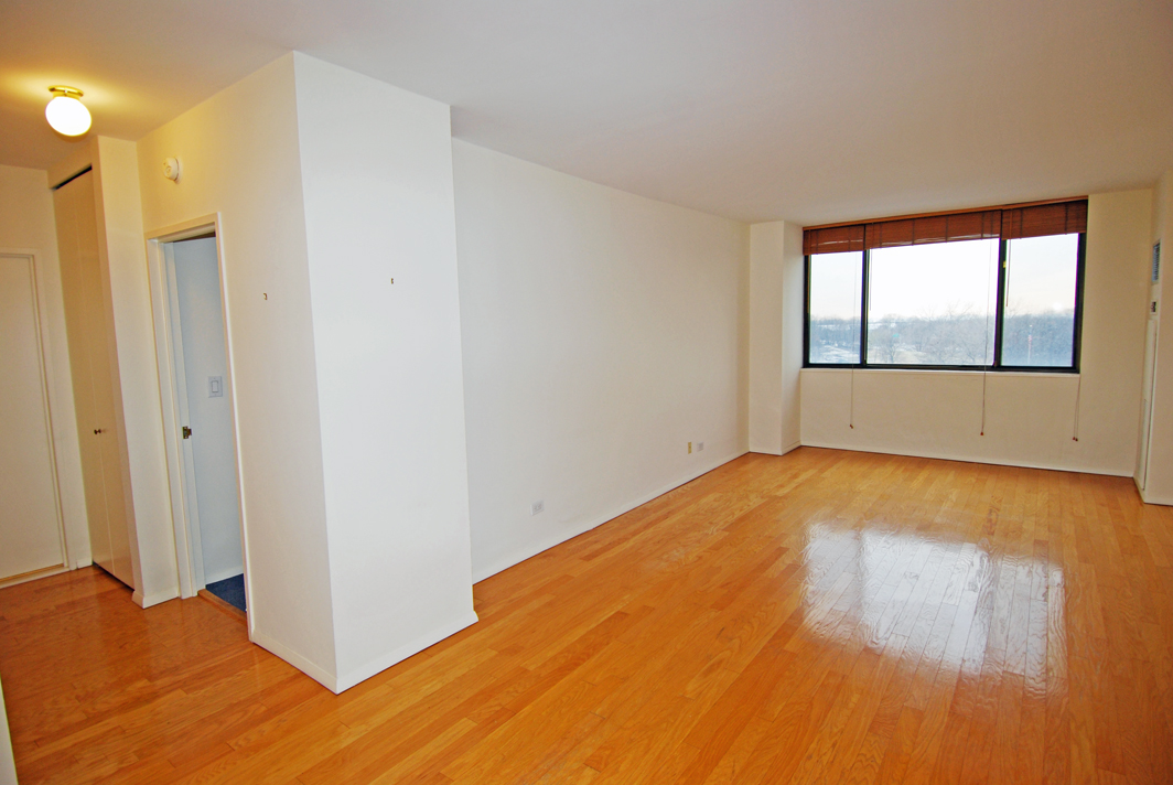 North Shore Towers 1 bedroom   Apartment