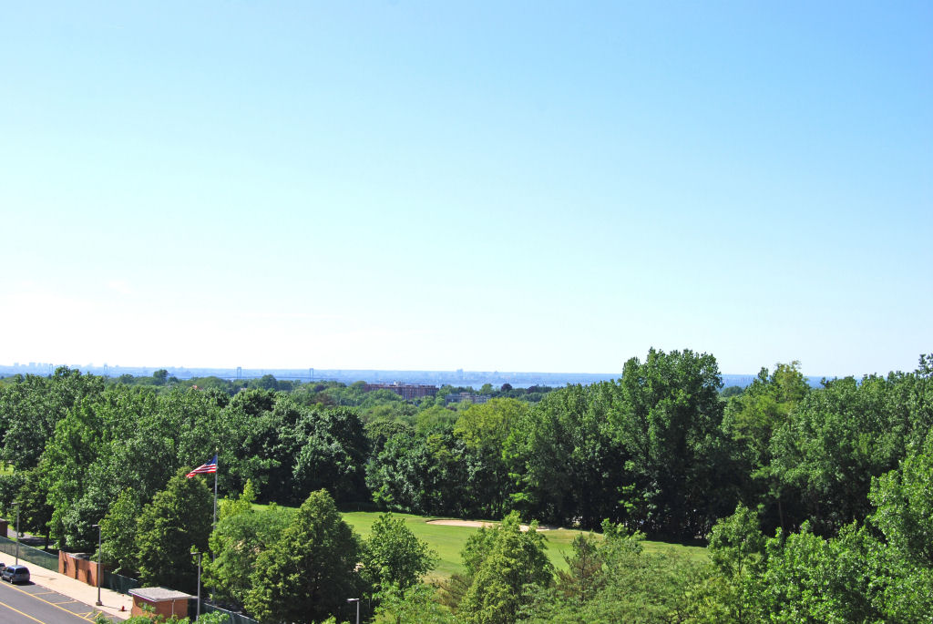 North Shore Towers 1 bedroom   Apartment