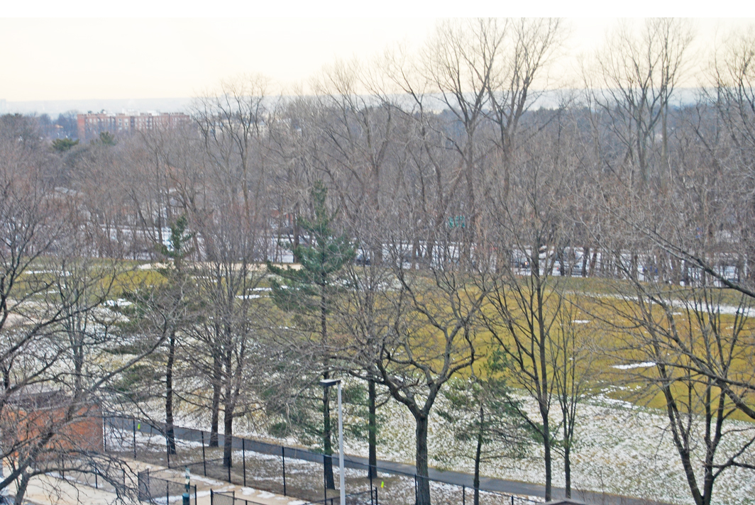 North Shore Towers 1 bedroom   Apartment