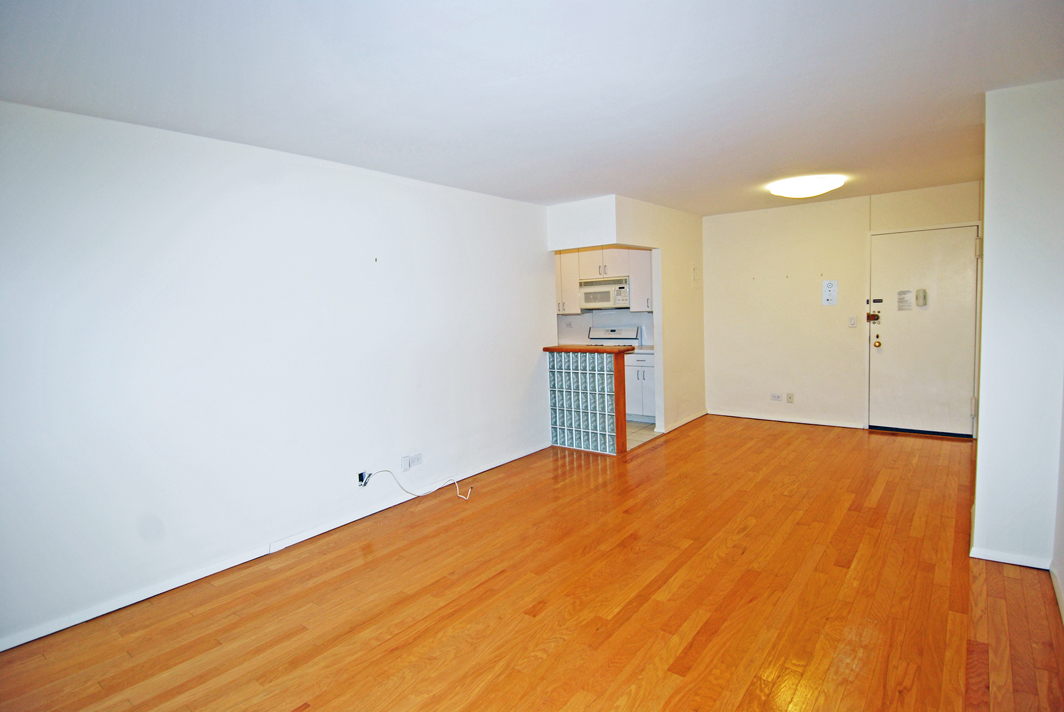 North Shore Towers 1 bedroom   Apartment