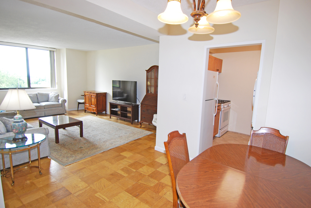 North Shore Towers  apt.