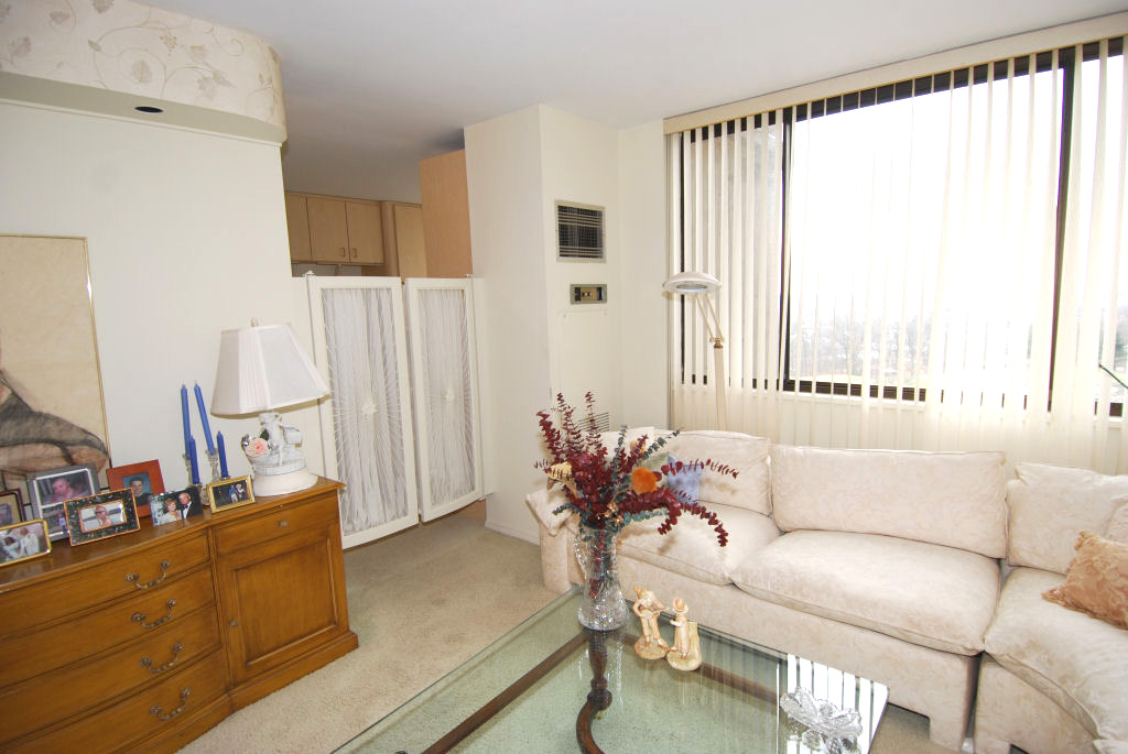 North Shore Towers Alcove Studio