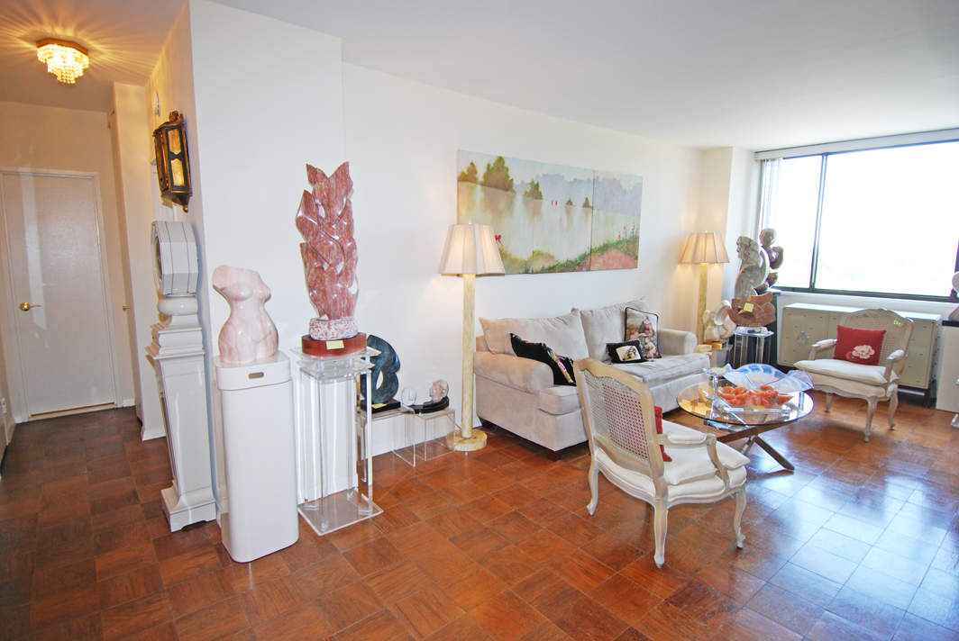 North Shore Towers 1 bedroom apt.