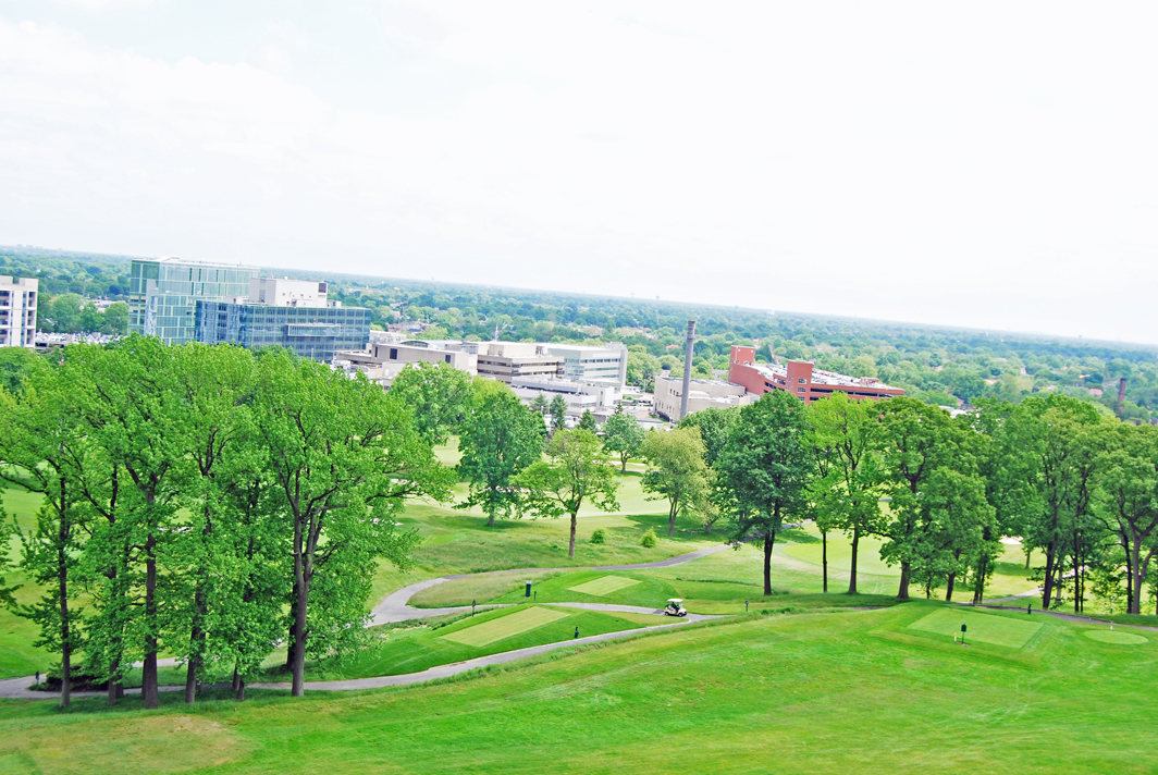 North Shore Towers 1 Bedroom Apartment