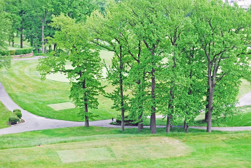 North Shore Towers 1 Bedroom Apartment