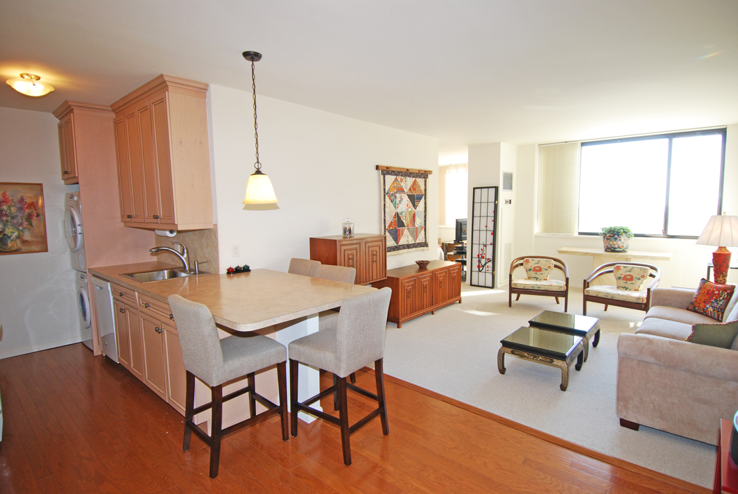 North Shore Towers Studio Apartment