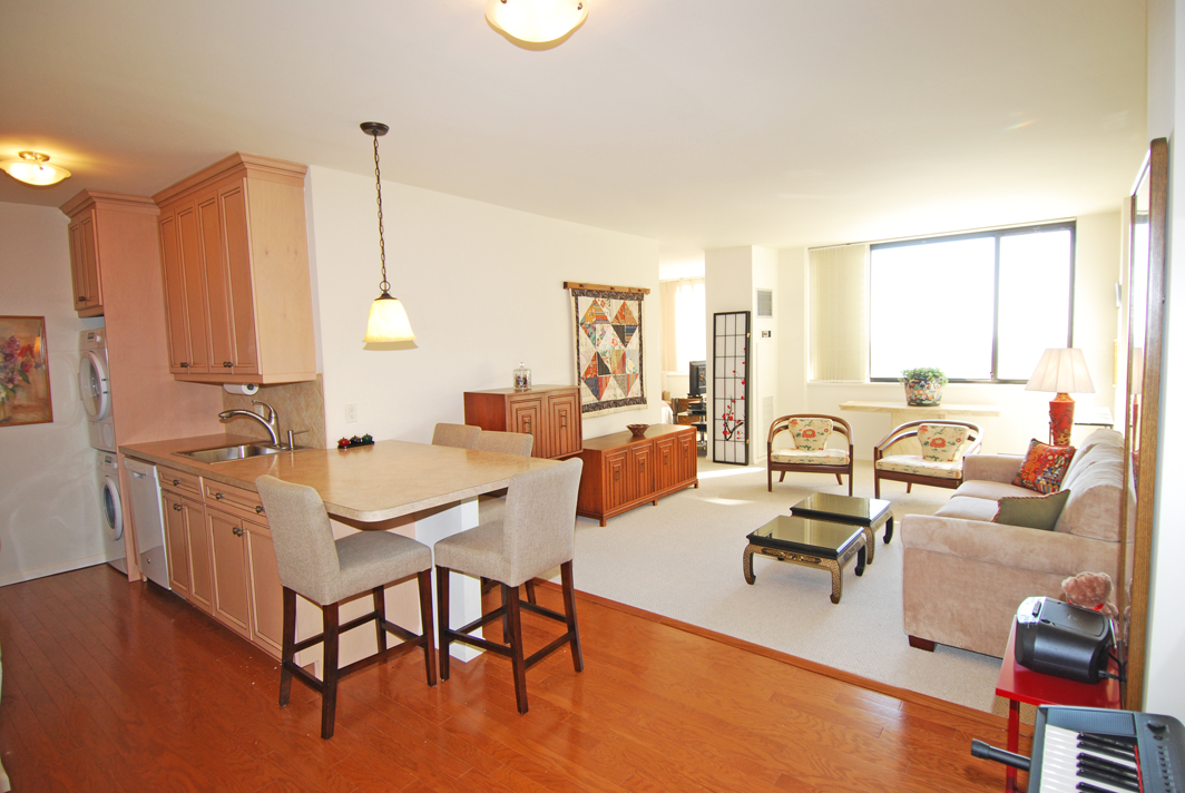 North Shore Towers Studio  Apartment