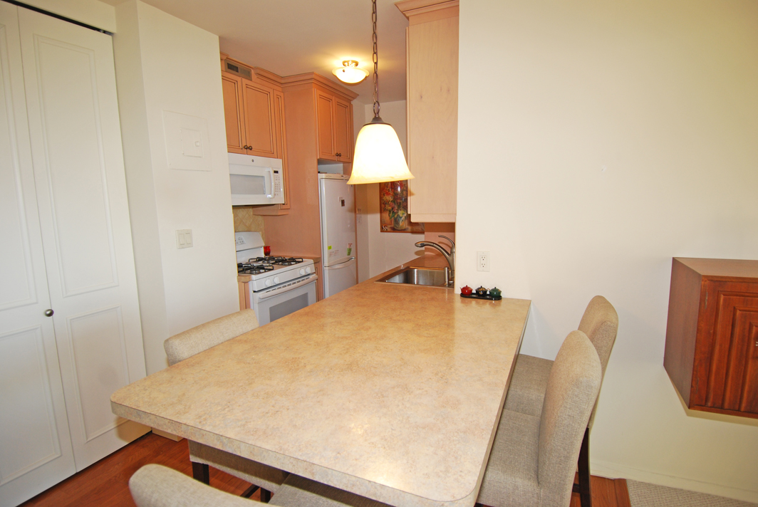 North Shore Towers Studio Apartment