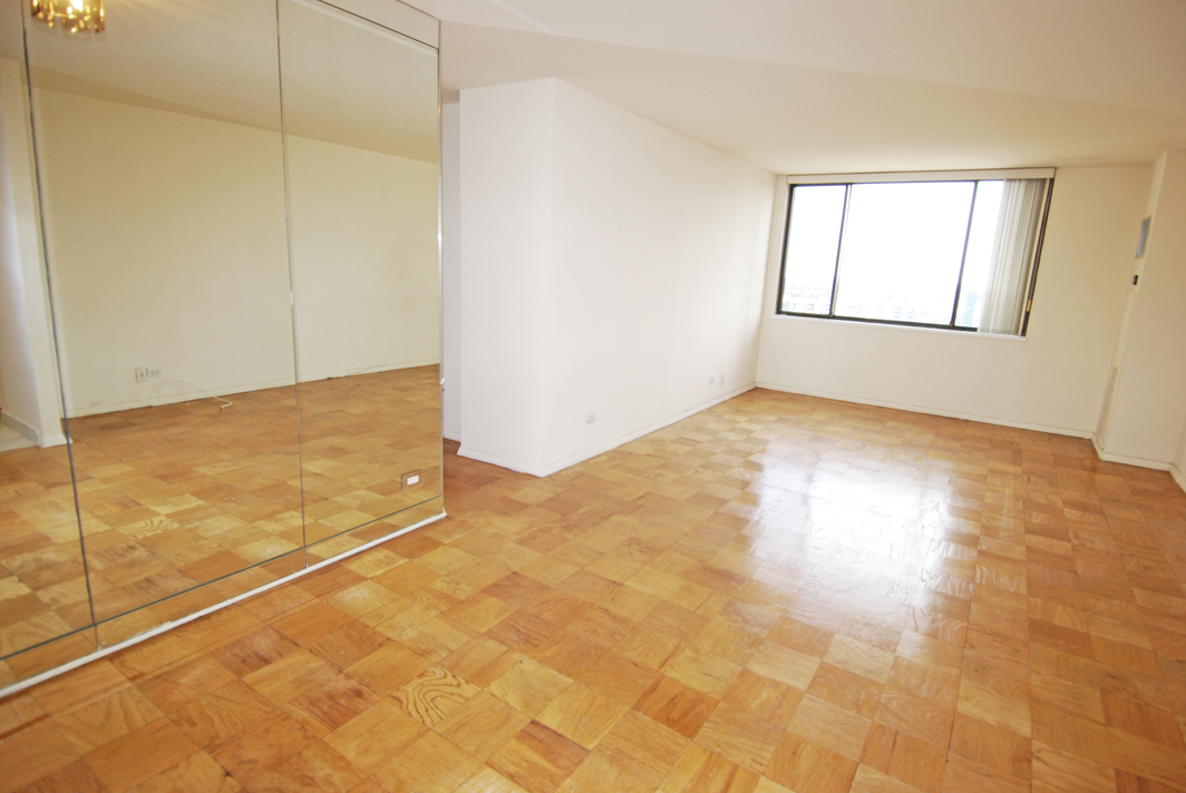 North Shore Towers  apt.