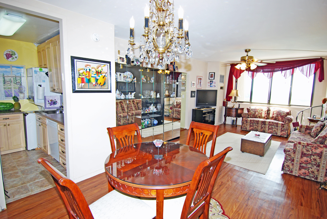 North Shore Towers  apt.