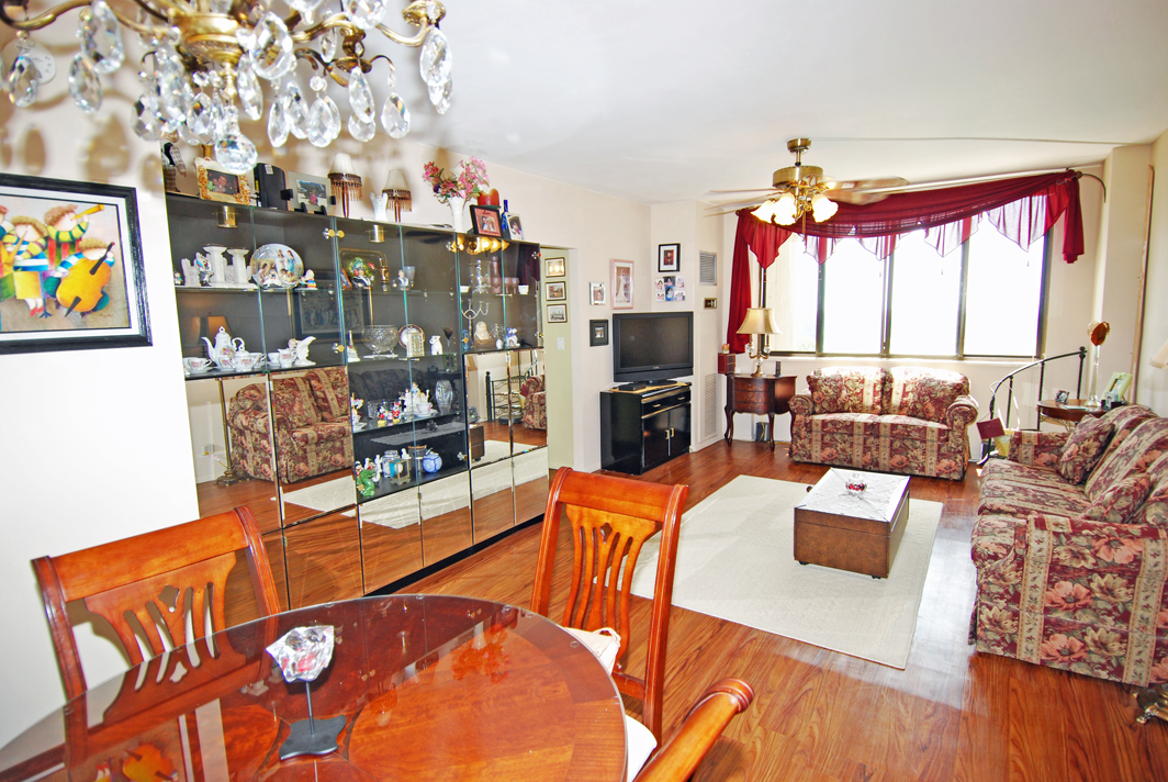 North Shore Towers  apt.