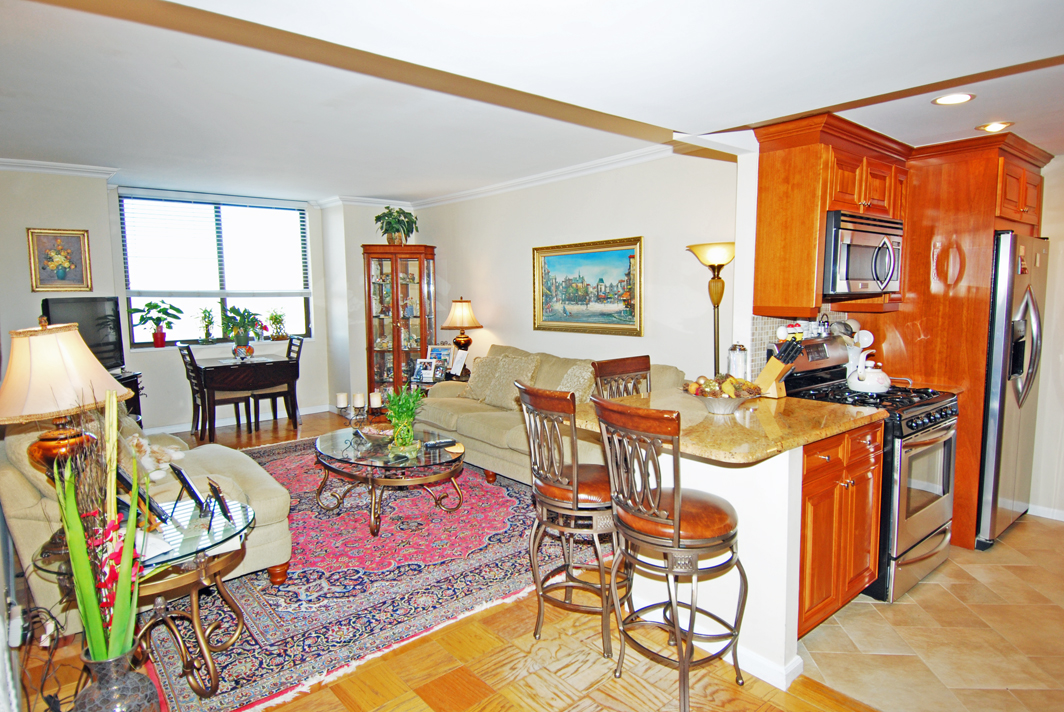 North Shore Towers  apt.