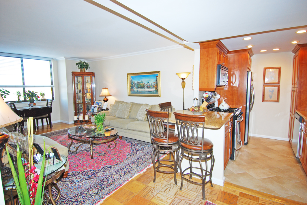 North Shore Towers  apt.