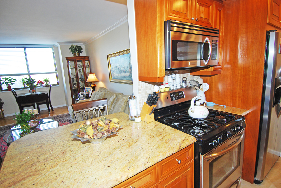 North Shore Towers apt.